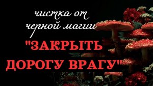 ЗАКРЫТЬ ДОРОГИ ВРАГУ (И НЕ ТОЛЬКО)