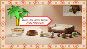 Египет Шарм-Эль-Шейх Бухта Наама Бэй