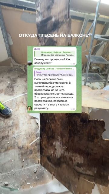 Плесень без утепления