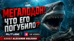 МЕГАЛОДОН! ЧТО ЕГО ПОГУБИЛО НА САМОМ ДЕЛЕ? РАЗБИРАЕМСЯ ВМЕСТЕ!