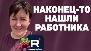 Наконец-то нашли работника /Деревенский дневник очень многодетной мамы Обзор
