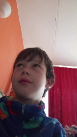 тит