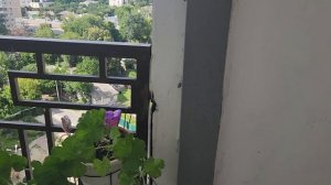 Мы летим в Ташкент!