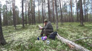 Поход в лес. Собрал ягоды черники. 27.07.26