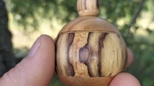 Шкатулка в июльском лесу на берёзе