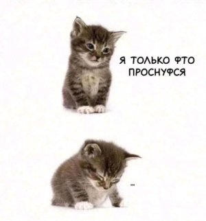 ребята Я вас обожаю .2 часть 🫶👍🫪