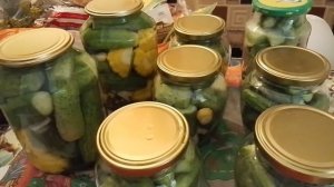 🥒🥒🥒Огуречный сезон 🥒🥒🥒