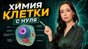 Химия клетки с нуля для ЕГЭ по биологии | Жанна Казанская | Умскул