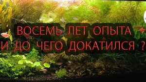 Обзор шести аквариум и философия аквариумистики.