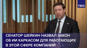 Сенатор Шейкин назвал закон об ИИ каркасом для работающих в этой сфере компаний