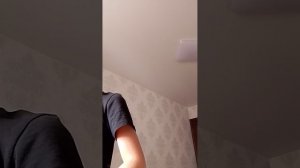 Опозорились на весь мир