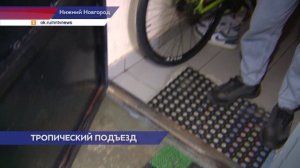 Дожди идут в подъезде дома на улице Бориса Панина в Советском районе