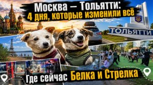 Из сердца Москвы к берегам Волги: приключения, которые запомнятся навсегда!
