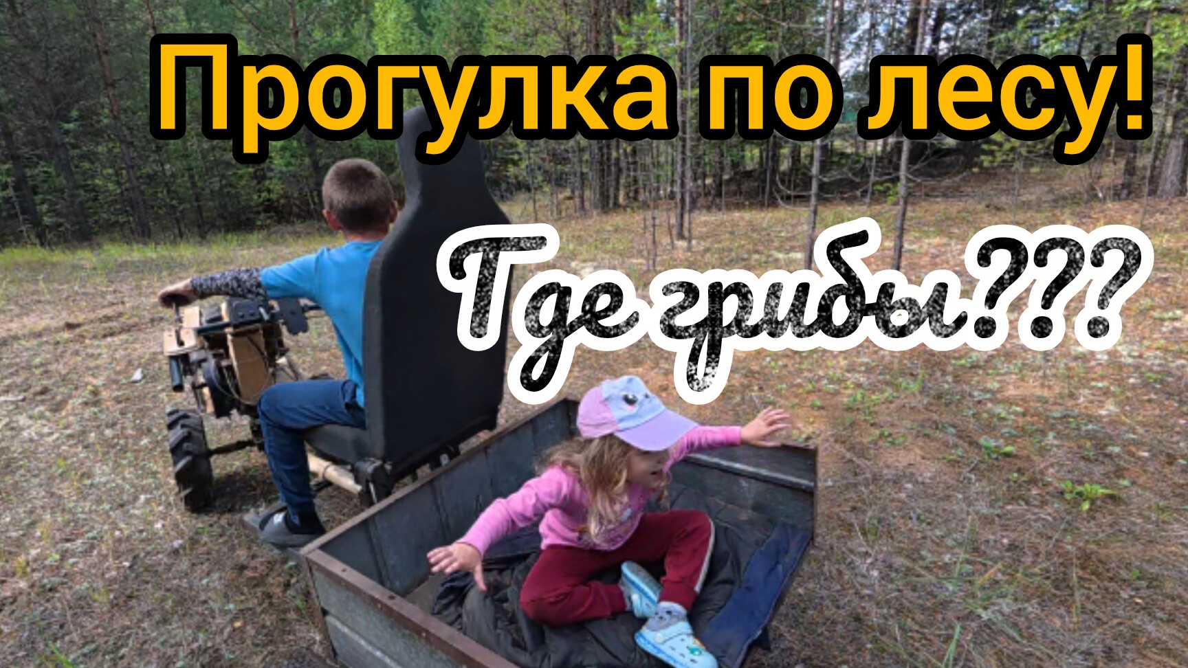 Прогулка с детьми по лесу в поисках грибов!
