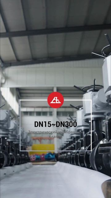 DN15~DN300 Электрический мембранный клапан-SOY