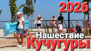 Кучугуры Атакованы Эти существа заполонили море  31.07.2026