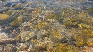 31 Июля на Ушаковой балке. Севастополь