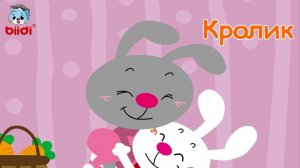 Кролик