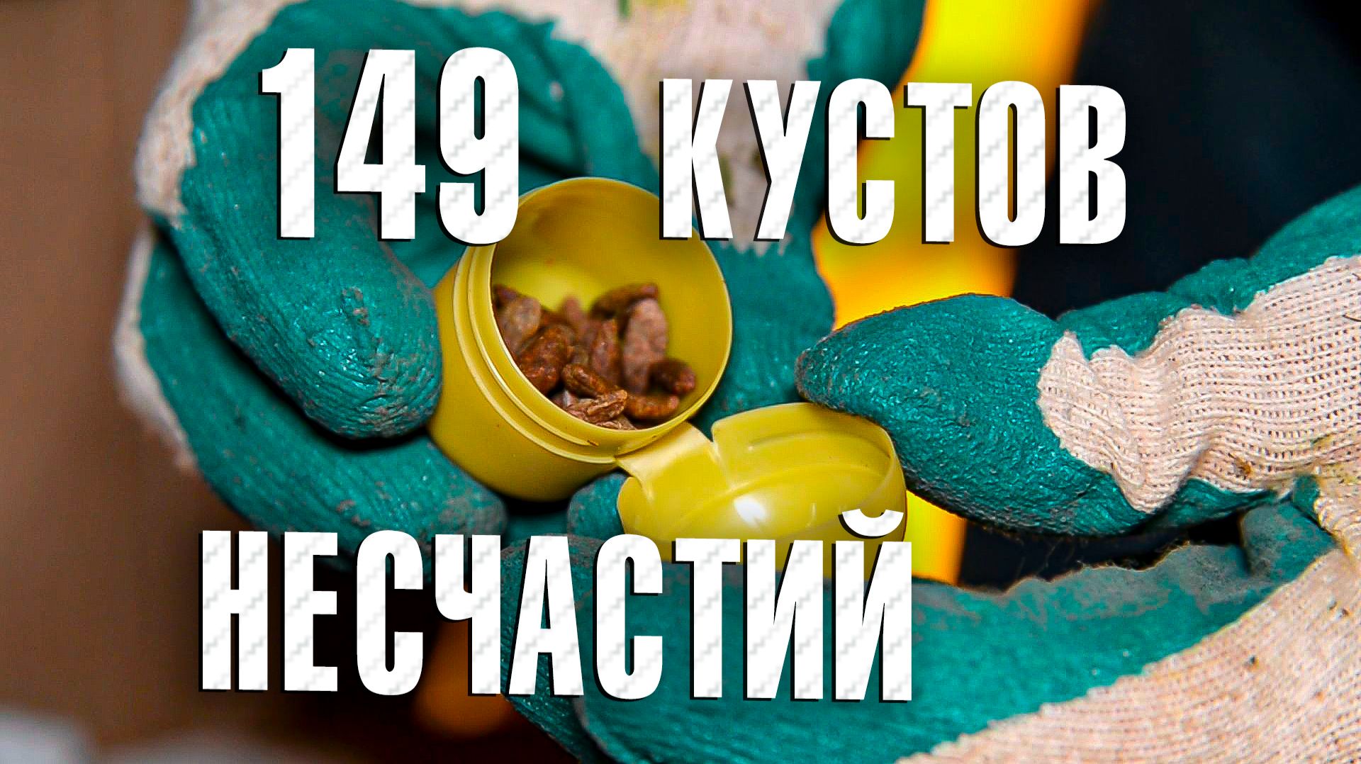 «Вызов 02» «Сто сорок девять кустов несчастий»