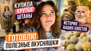 Удачно пошопилась в Фамилии. Полезные рецепты. Как в нашем доме появились животные? Их история