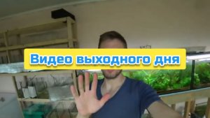 Видео выходного дня