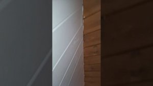 1000066066.mp4 (Собака слушает о устройстве анемостата вентиляции, планки на 2 эт. в доме А-фрейм)