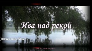 Новинка 2026_Звуки Судьбы -  Ива над рекой