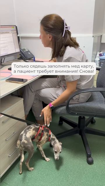 Невыносимые условия труда..😄