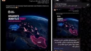 Руководитель компании Fire Point, которая производит ракеты „Фламинго“, угрожает Ирану