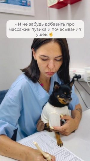 Назначения нового врача 🐶 🗯