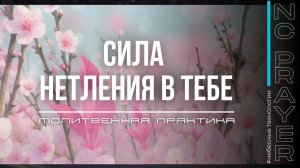 СИЛА НЕТЛЕНИЯ В ТЕБЕ ✦ МОЛИТВА ✦ Андрей Яковишин ✦ @Nebesnaya_civilizacia  Молитвенная Практика