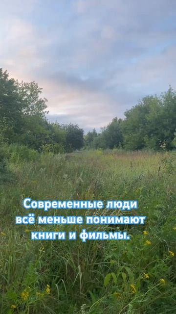 Шорты