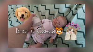 Ylog с Сеней🐯/Утро с Сеней🦊/Ylog по запросу ☀солнечная ESSA☀