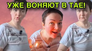 ДРЕМУЧАЯ КУЧА УЖЕ В ТАЕ. ПИРАТСКАЯ ЖИЗНЬ. ОБЗОР.