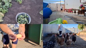 ЖИЗНЬ ДЕРЕВЕНСКАЯ.РАБОТЫ ДЕЛАТЬ НЕ ПЕРЕДЕЛАТЬ