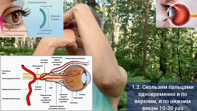 Зажатый паховый треугольник вредит глазам и тазобедренным суставам. Упражнения для глаз и ног