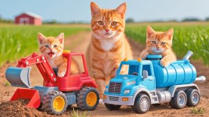 Мама-кошка подстригает шерсть на ферме и делает тигровую шапку для котят дома🐾🎩🐯