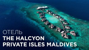 The Halcyon Maldives — полный обзор нового люксового отеля Marriott | Виллы, риф и рыбалка