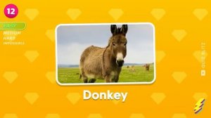 Farm animal quiz easy, medium level