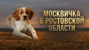 Москвичка в Ростовской области!