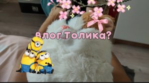 ВЛОГ ТОЛИКА? /★БАСИК ЛУЧШЕЕ★
