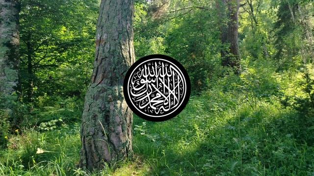 АЛЬ - ФАЛЯК [100 раз] & АН - НАС [100 раз]