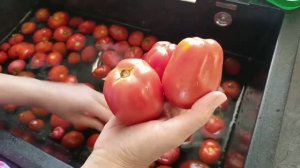 Перерабатываем перцы и томаты.  Вкусный ужин.