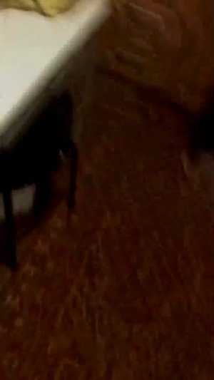 01-08-2026