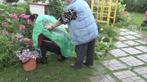 6 соток 30 июля 2026 года. 2 часть.