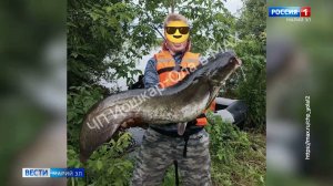 Обзор соцсетей: последствия урагана, «зацеперы» в Йошкар-Оле, огромный сом и грибной сезон
