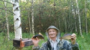 Рыбалка на двух озёрах. Солонцы для косуль.