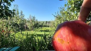 Саратов реальный САРАТОВ 01.08.26 что реально происходит прямо сейчас
