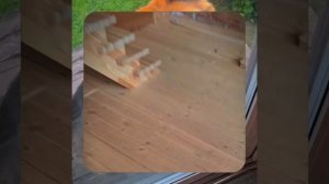 1000066083.mp4 (Собака слушает о устройстве анемостата вентиляции, планки на 2 эт. в доме А-фрейм)