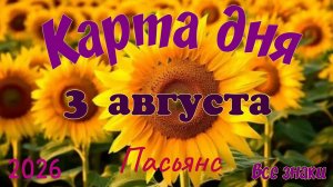 Карта дня🍉3 августа 🐞☘️Пасьянс. Тайм-код в описании 🦢